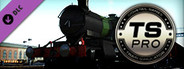 Train Simulator: GWR Large Prairies Steam Loco Add-On