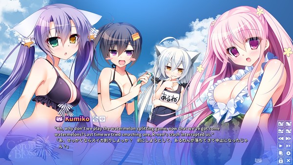 Corona Blossom Vol.3 Journey to the Stars PC requirements