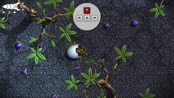 Insatiafor windows and Linux 1