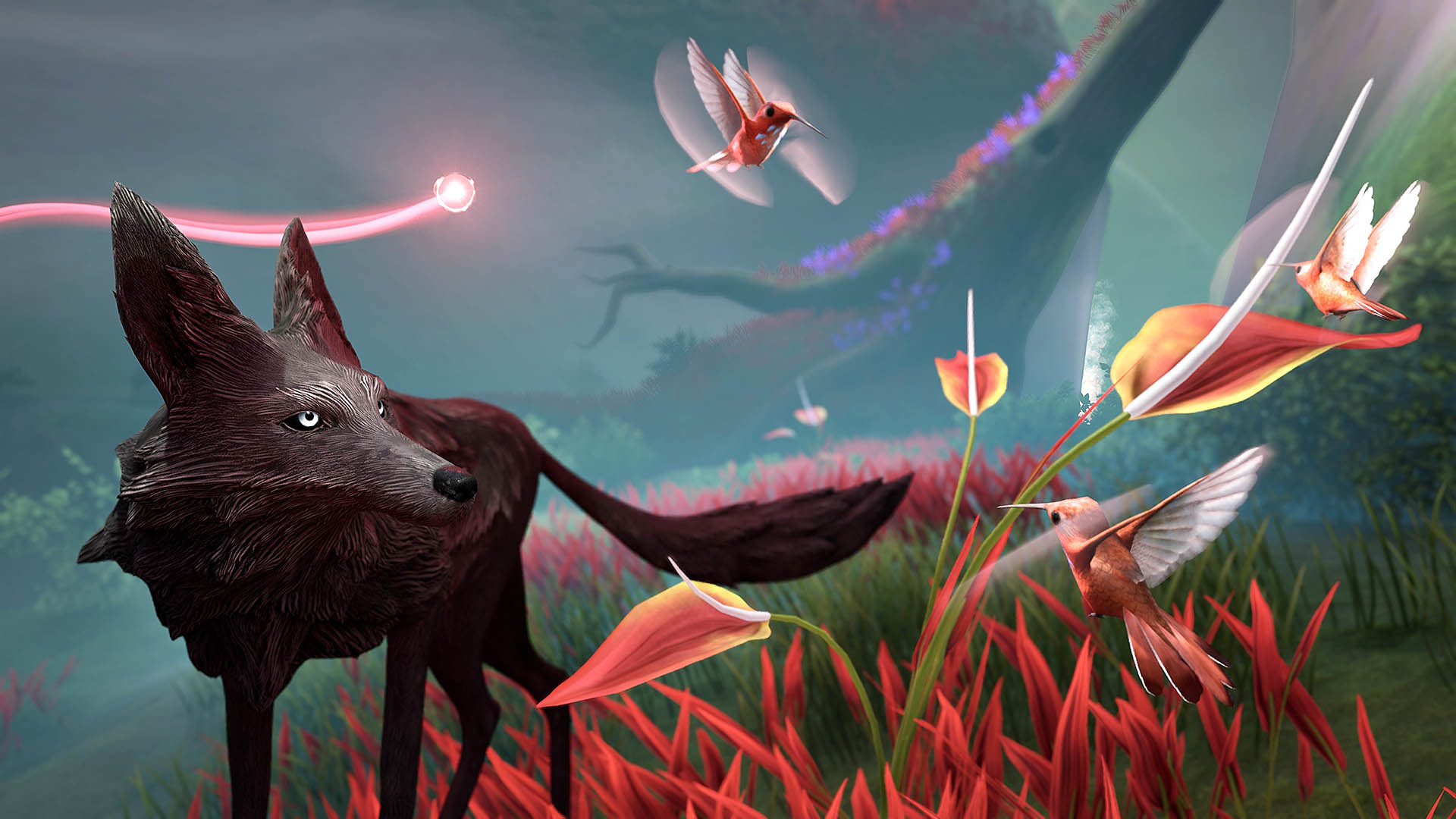 LOST EMBER Imágenes 