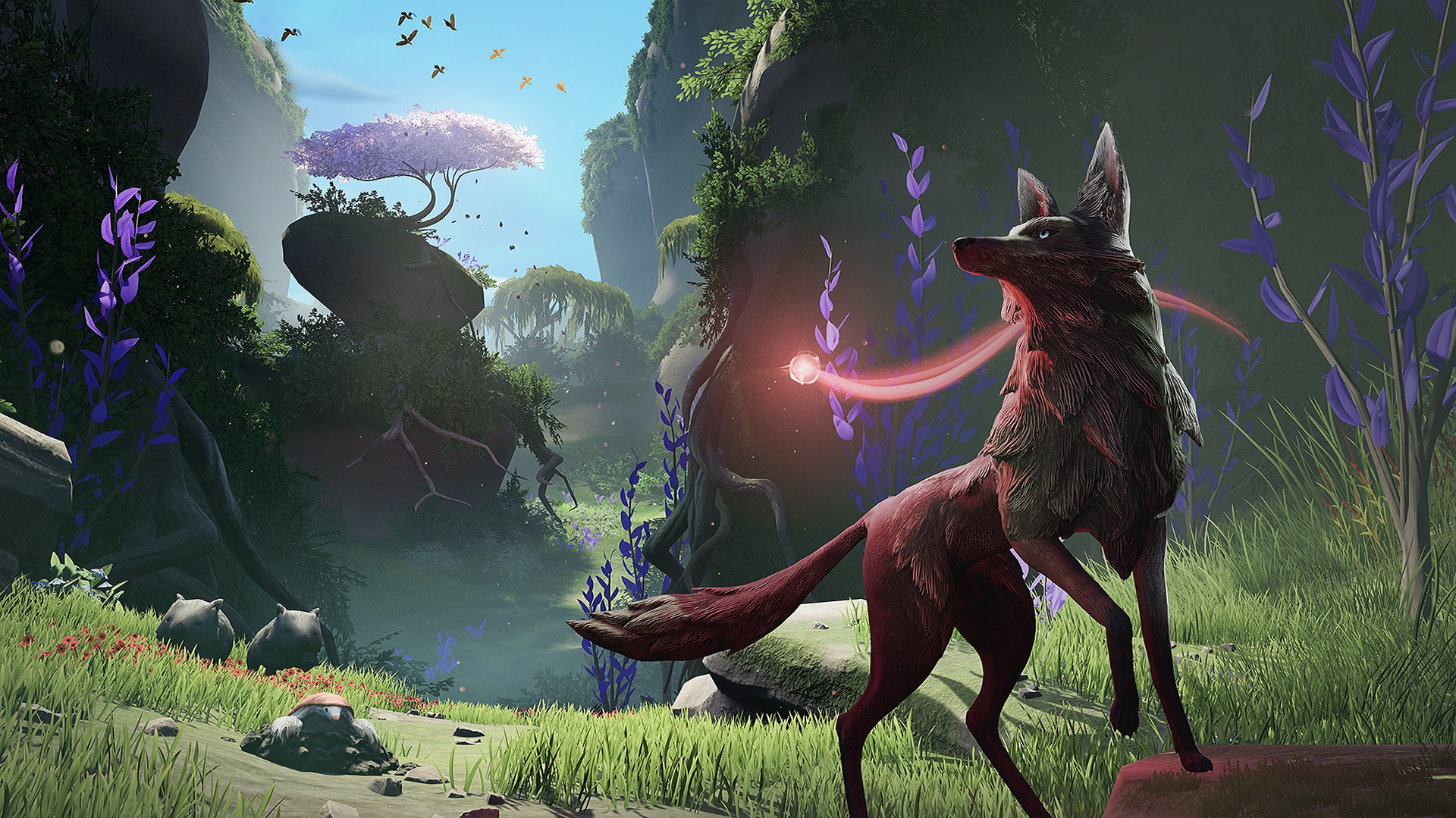 LOST EMBER Imágenes 