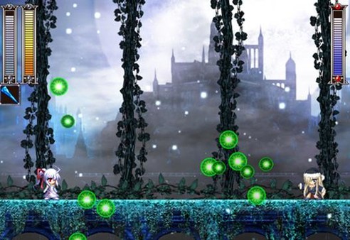 Rosenkreuzstilette Freudenstachelfor windows and Linux 1