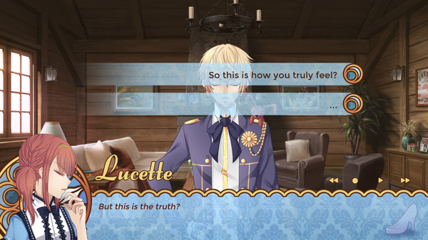 Скриншот из Cinderella Phenomenon