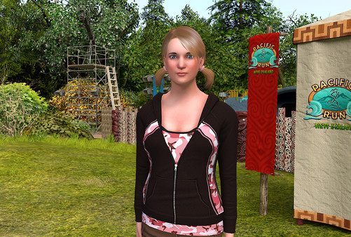 Скриншот из Nancy Drew: The Shattered Medallion