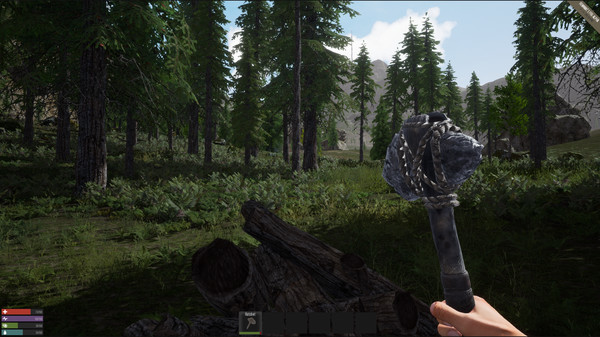 Remnantsfor windows and Linux 1