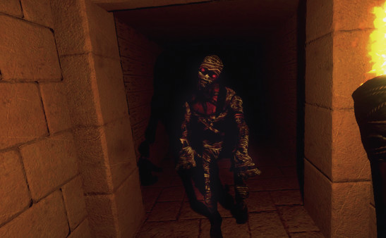 Unknown Pharaohfor windows and Linux 1