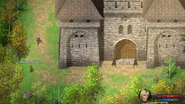 Cavern of Time for linux