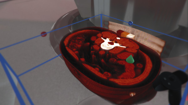 Скриншот из The Body VR: Anatomy Viewer