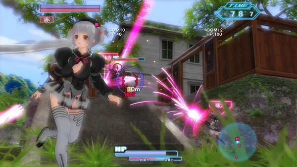 Soul Saber 2for windows and Linux 1