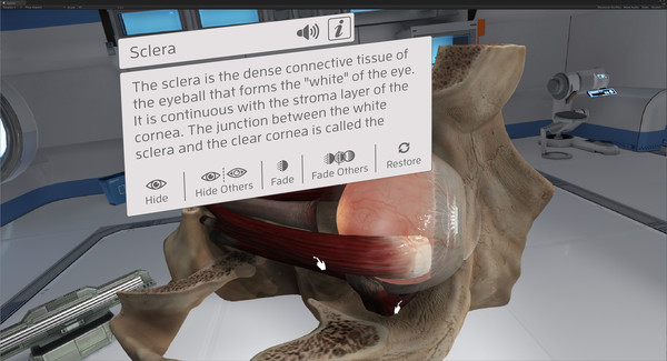 Скриншот из The Physiology of the Eye