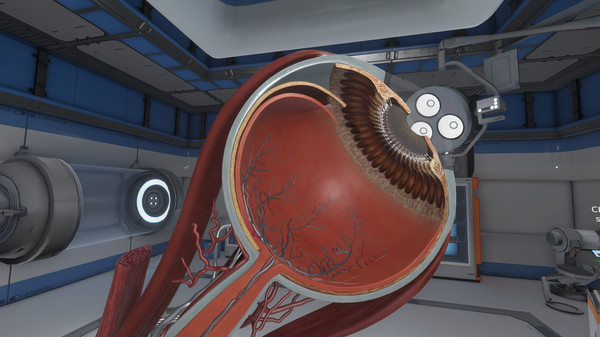 Скриншот из The Physiology of the Eye