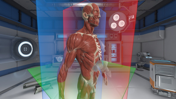 The Physiology of the Eyefor windows and Linux 1