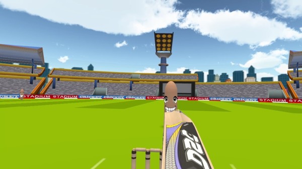 Casual Cricket VR