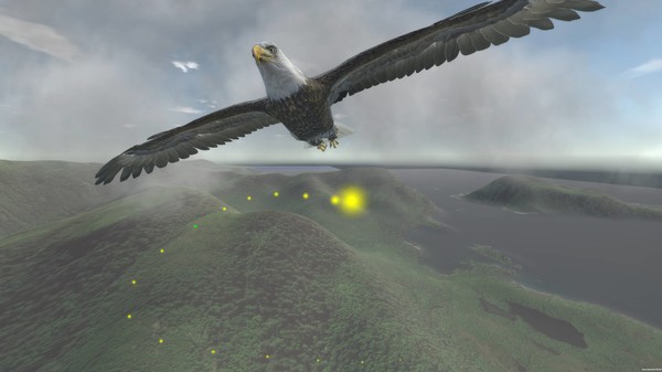 Aquila Bird Flight Simulator PC requirements