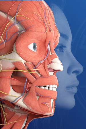 3D Organon Anatomy