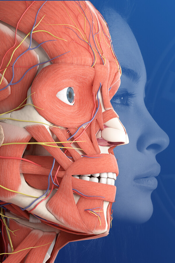 3D Organon Anatomy for steam