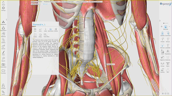 3D Organon Anatomy game for windows Pc 1
