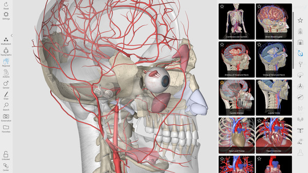 Can i run 3D Organon Anatomy