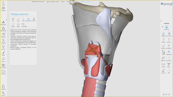 3D Organon Anatomyfor windows and Linux 1