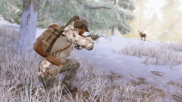 Hunting Simulator recommended requirements