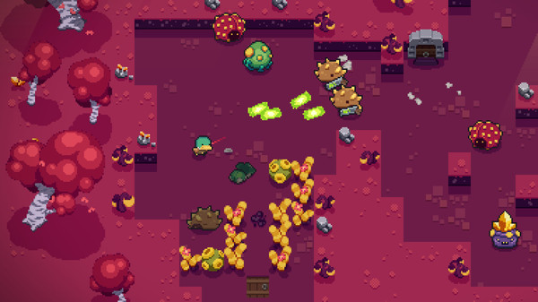 Blazing Beaks for linux