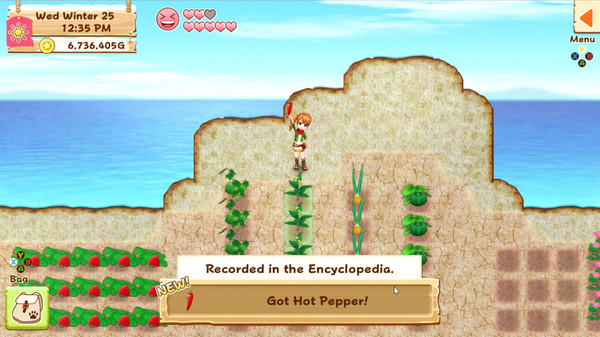 Harvest Moon: Light of Hope Screenshot 2