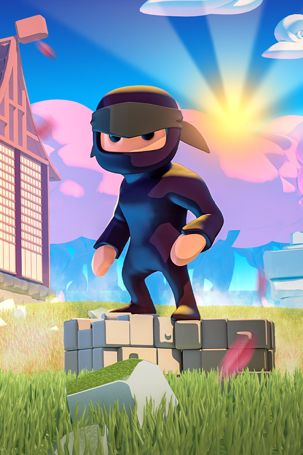 Steam portrait for Mad Dojo.