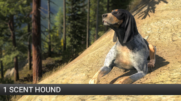 Скриншот из theHunter: Scent Hound Pack