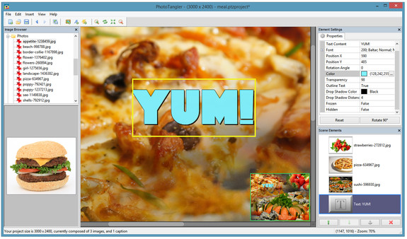 PhotoTangler Collage Makerfor windows and Linux 1