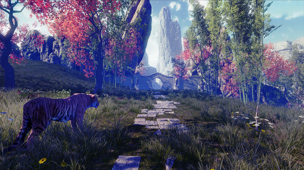 Скриншот из Nature Treks VR