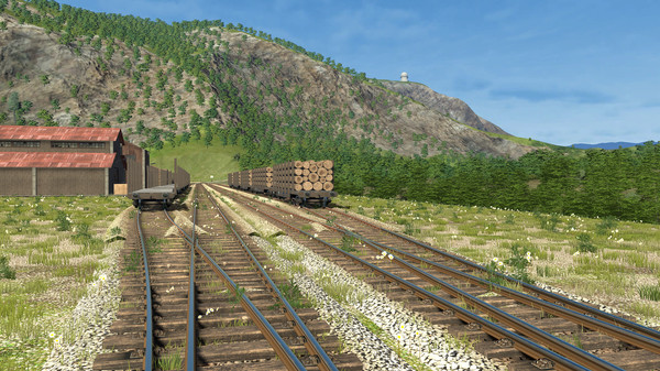 Скриншот из Derail Valley