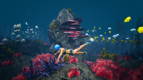 Capsafor windows and Linux 1