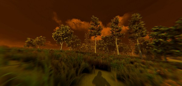 ESCAPE FROM VOYNA: Dead Forest