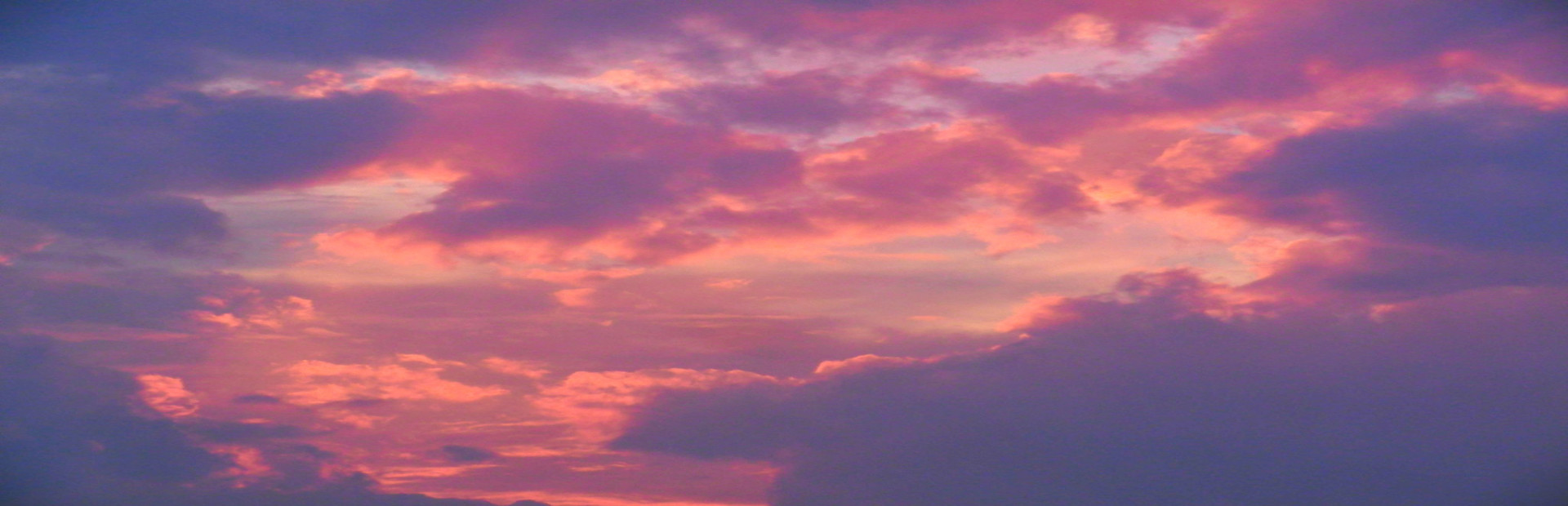 Shop Tycoon The Boss