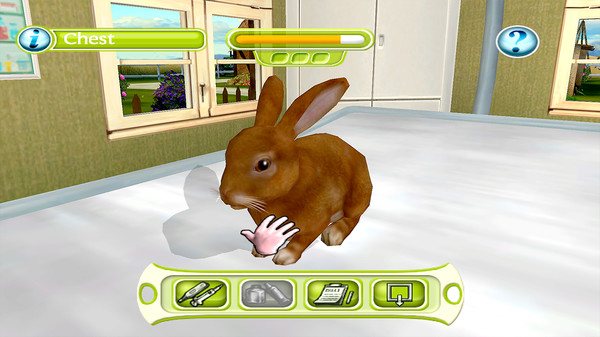 Скриншот из My Vet Practice