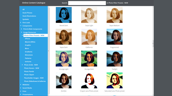 Photo & Graphic Designer 12 Steam Edition game for windows Pc 1