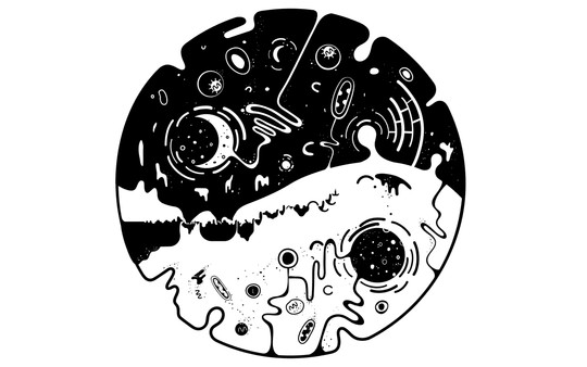 Скриншот из OVIVO