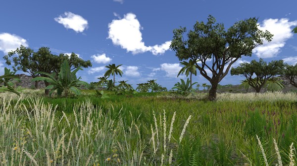 Lost in Naturefor windows and Linux 1