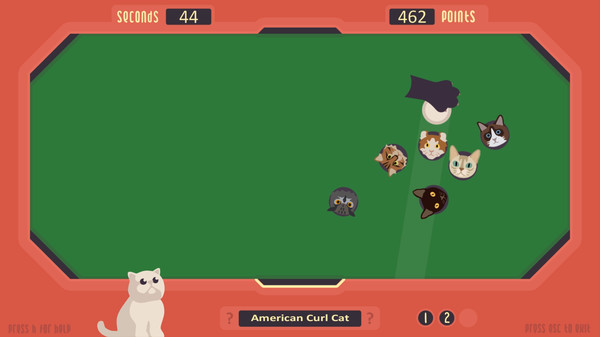 The Cat Games minimum requirements