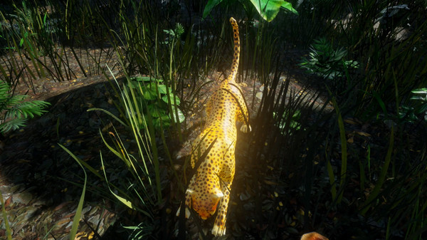 Скриншот из Star Hunter VR