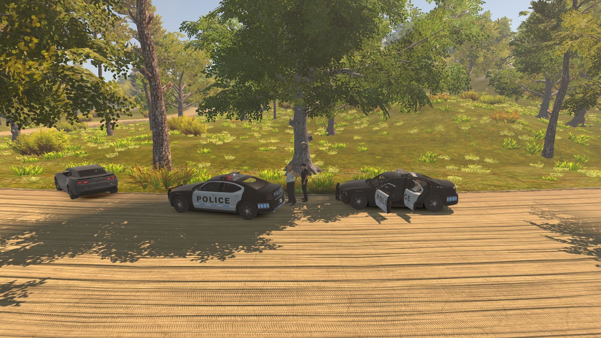 Flashing Lights Police, Firefighting, Emergency Services Simulator