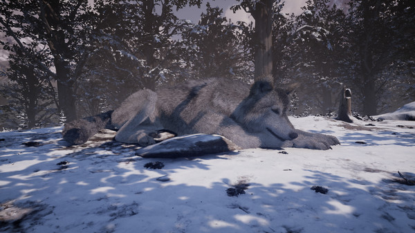 Скриншот из Nephise