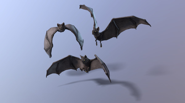 Realms of Conquestfor windows and Linux 1