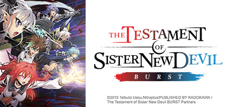 The Testament of Sister New Devil: What I Can Do For You cover art