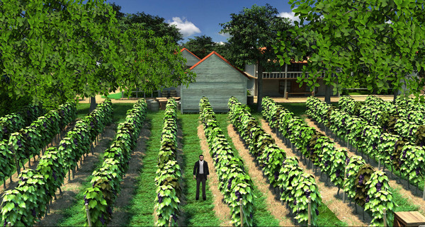 Gold Rush! 2for windows and Linux 1