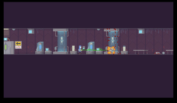 Paradox Soul for linux