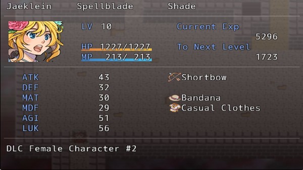 скриншот Extra Character (Female #2) + Item Pack for Arcane RE-Raise 0