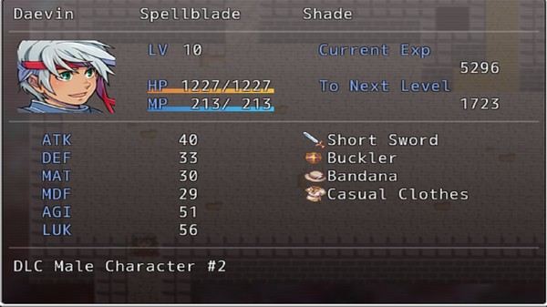 скриншот Extra Character (Male #2) + Item Pack for Arcane RE-Raise 0