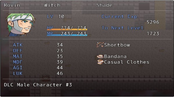 скриншот Extra Character (Male #3) + Item Pack for Arcane RE-Raise 0