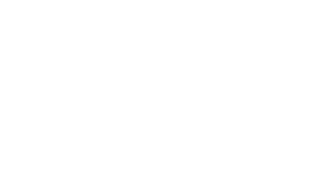PAKO 2 Logo